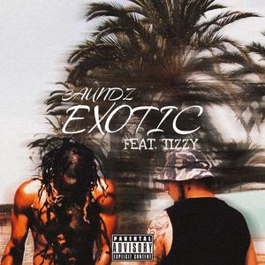 EXOTIC (feat. Tizzy) [Explicit]