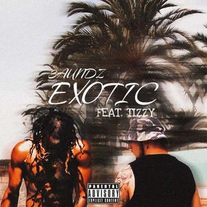 EXOTIC (feat. Tizzy) (Explicit)