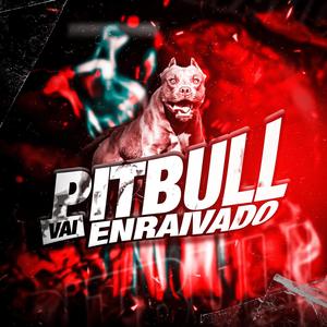 VAI PITBULL ENRAIVADO (feat. Dj Denilson o clínico) (Explicit)