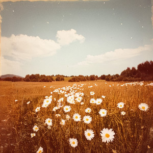 ME DEDICO A DISFRUTAR (Explicit)