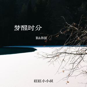 梦醒时分 (R&B版)