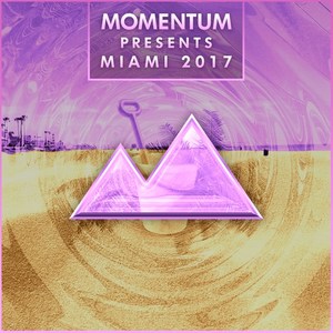 Momentum Presents Miami 2017