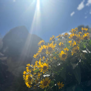 Loving arms (feat. Felicia Guerra & Archie Braun)