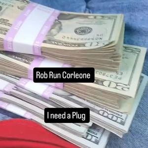 I need a plug (Radio Edit|Explicit)