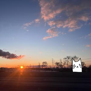 lose me now (feat. riensu)