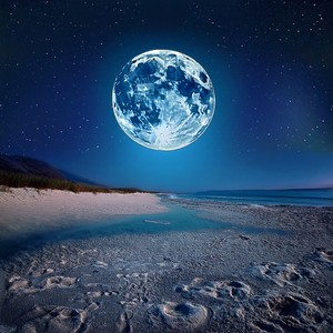 Curvas Soñolientas En El Flujo Del Ritmo