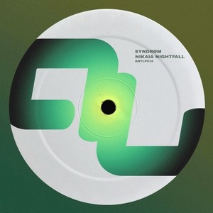 Nikaia Nightfall (Original Mix)