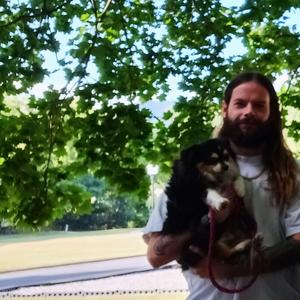 the summer of steel (mave's version)