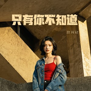 只有你不知道 (港风女声版) - 欧阳欣封面