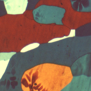 All Inclusive (Samo DJ Remix)