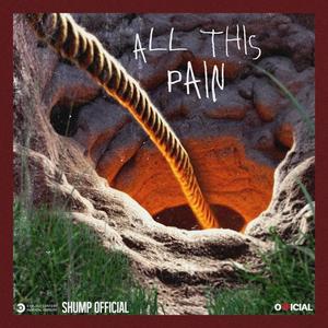 All This Pain (Explicit)