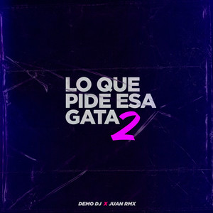 Lo Que Pide Esa Gata 2 (Explicit)