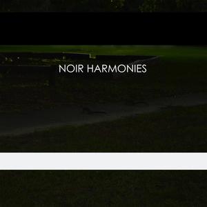 Noir Harmonies