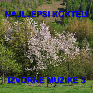 Najljepsi Kokteli Izvorne Muzike 3