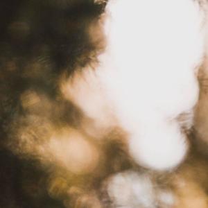 ce n'est qu'un rêve, ma chérie