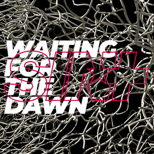 Waiting for the Dawn