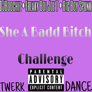 She A Badd ***** Challenge (feat. DJBoochie, Big Boy Spunk &  Freaky Boi Joe-T) [Explicit]