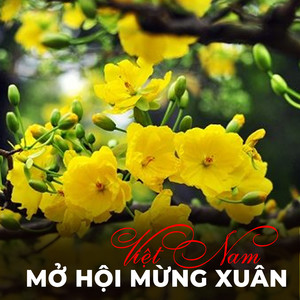 Việt Nam mở hội mừng Xuân