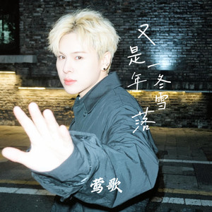 又是一年冬雪落