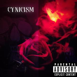 Cynicism (Explicit)