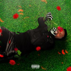 Haiboo (feat. Guapnerd) (Explicit)