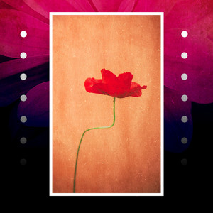 Atardecer de Mayo (Instrumental)