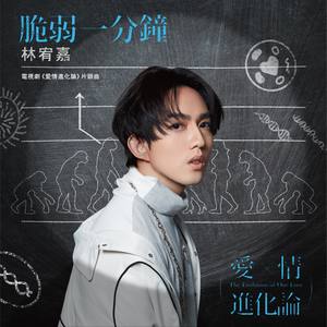 脆弱一分钟封面