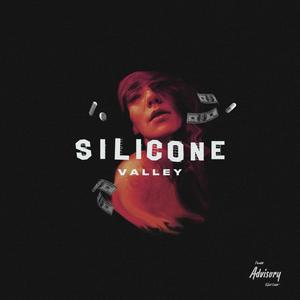 Silicone Valley(feat. CK Jones) (Explicit)