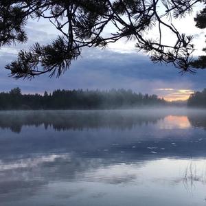 Devil In Disguise (Explicit)