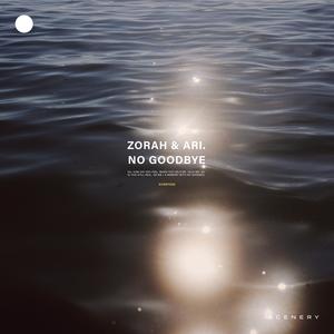 No Goodbye