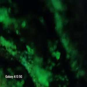 Together, Forever (feat. EmAn IS A LEGEND) (Explicit)