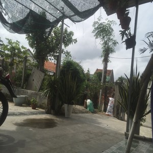 Anh Da Thay Long