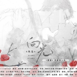 顾家的水漾儿 - 向光 (伴奏)