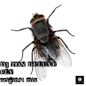 Fly (Original Mix)