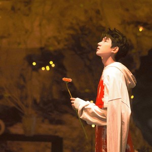 奔赴时间尽头的流萤