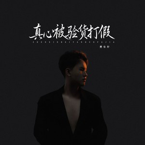 真心被验货打假 (伴奏)