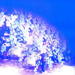 blow in the wind (feat. reefuh) (Explicit)