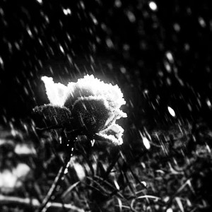 dysthymia (Explicit)