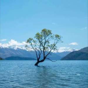 最后攻势 (破阵-植物联盟)