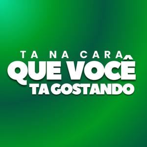 Ta Na Cara que Você ta Gostando (Explicit)