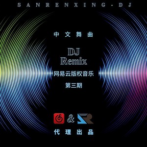 侧脸DJ (FunkyHouse Rmx 车载版)