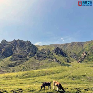暮色回响 (轻音乐治愈钢琴曲)封面