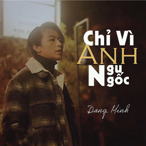 Chỉ Vì Anh Ngu Ngốc