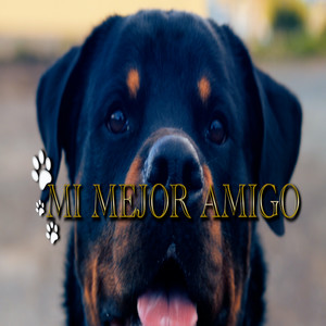 Mi Mejor Amigo