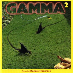 Gamma 2