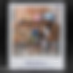 Mahabharat (feat. Gora Gill)