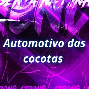 Automotivo das cocotas (Explicit)