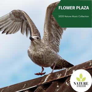 Flower Plaza - 2020 Nature Music Collection