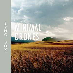 Minimal Drones