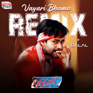 Vayari Bhama Remix (From "Thammudu")